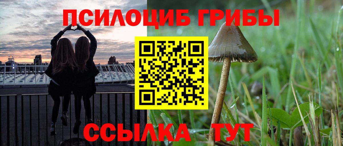 Псилоцибиновые грибы Magic Shrooms  Псилоцибиновые грибы прущие грибы  Вход с VPN  Северск 